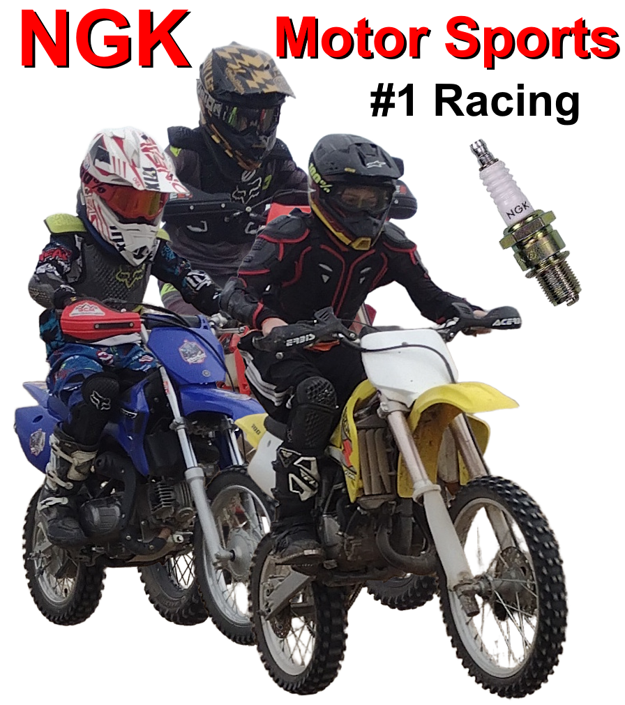 Worldwide Voltage Equipment - NGK Authorized Distributor